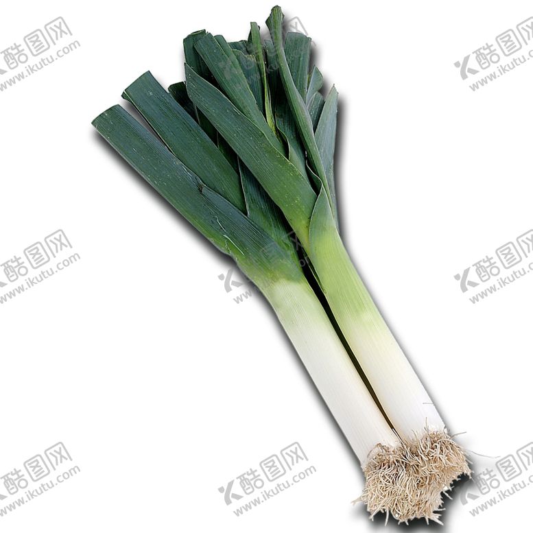 编号：62908409200034526000【酷图网】源文件下载-大葱