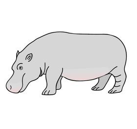犀牛插画