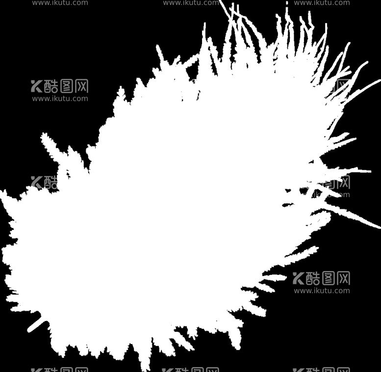 编号：85792012021738103315【酷图网】源文件下载-羽毛 素材