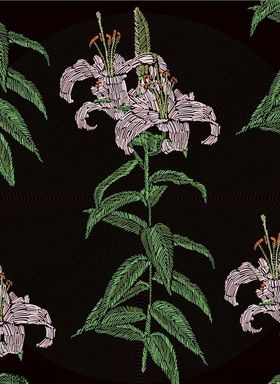 连续花卉
