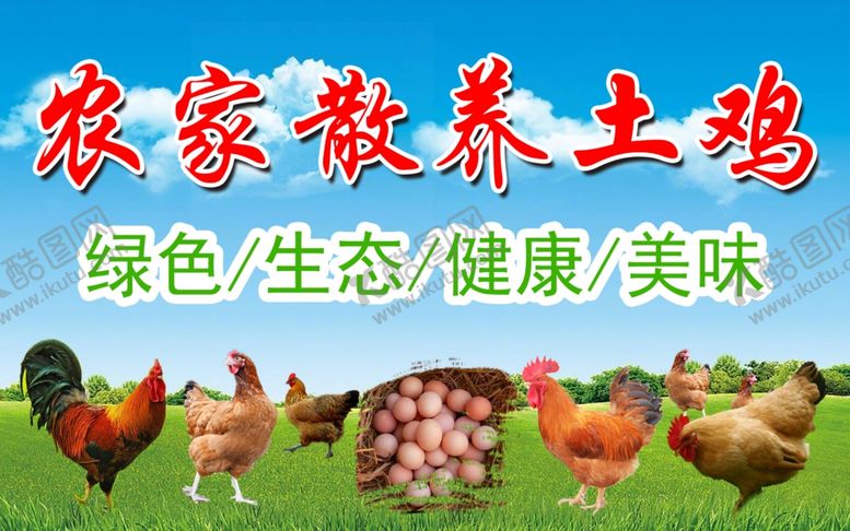 编号：50375410010534367044【酷图网】源文件下载-散养土鸡