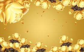 金色玫瑰花