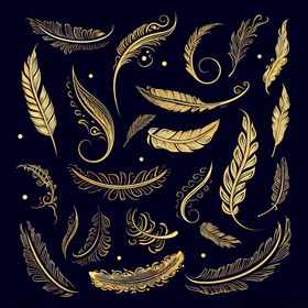 金色羽毛装饰图案设计