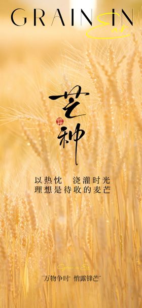 芒种节气单图图片海报