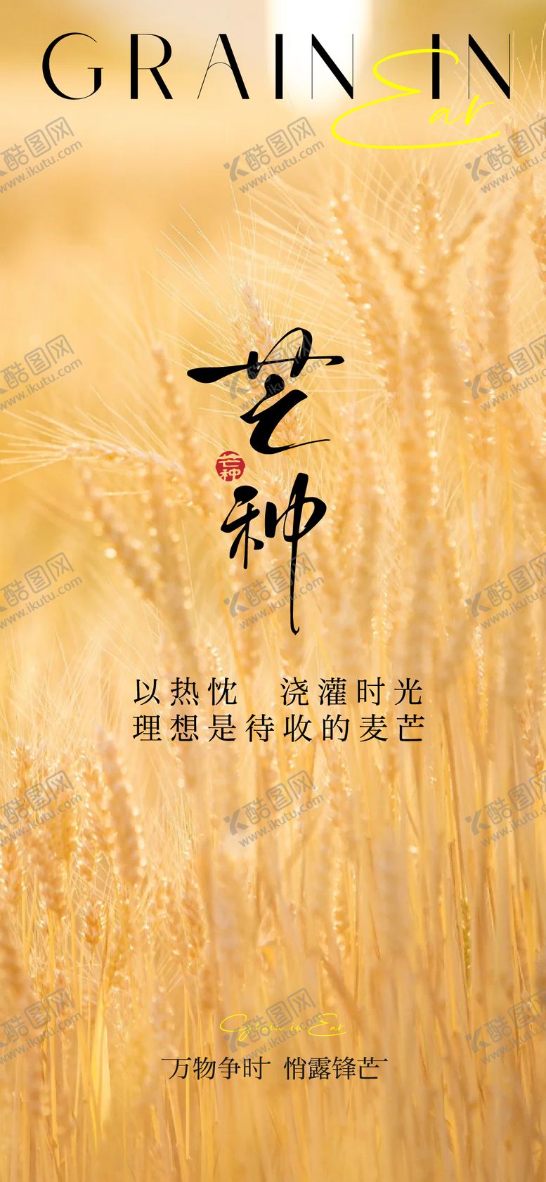 编号：73012606151848263359【酷图网】源文件下载-芒种节气单图图片海报