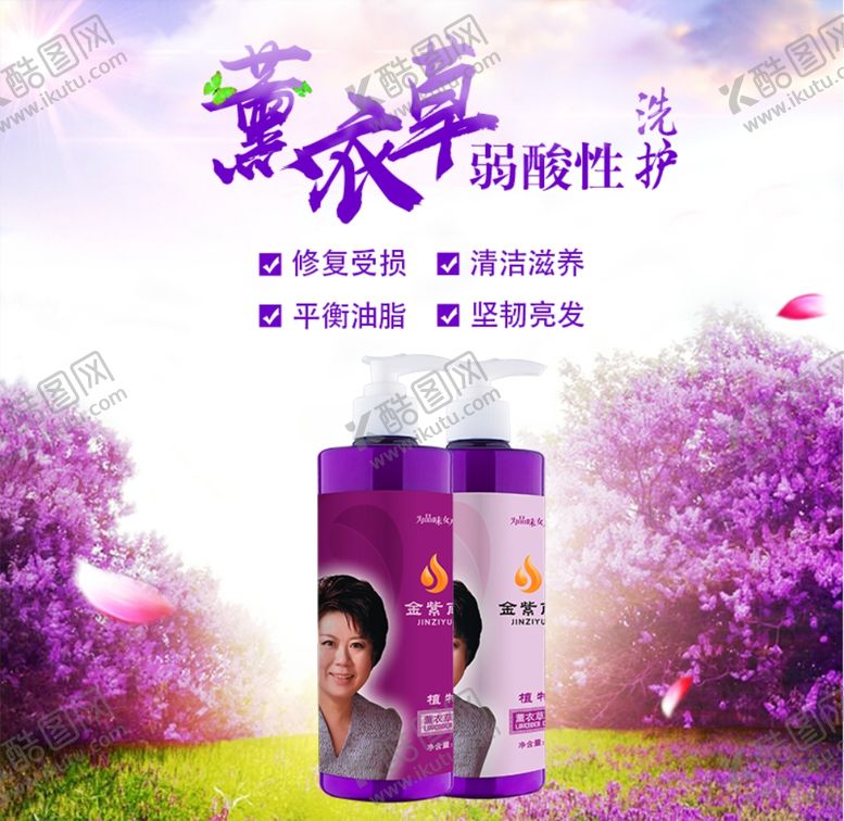 编号：79762609292233229607【酷图网】源文件下载-薰衣草弱碱性洗护