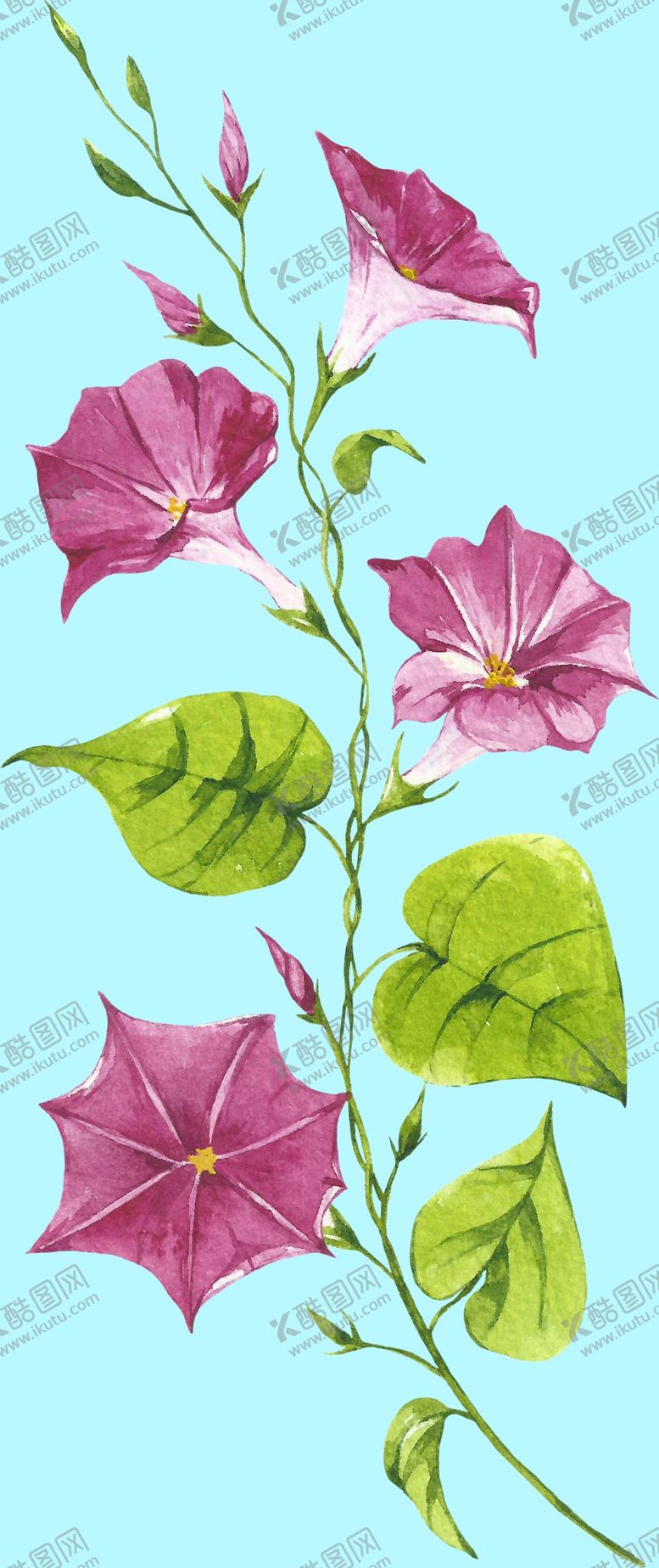 编号：22854106241150284290【酷图网】源文件下载-花卉树叶