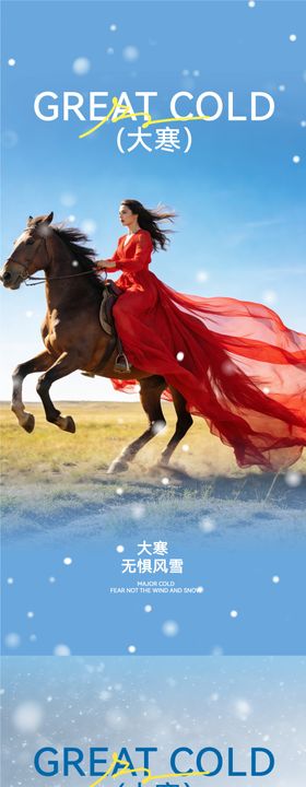 医美大寒节气海报