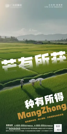 芒种海报夏季背景素材宣传单展架