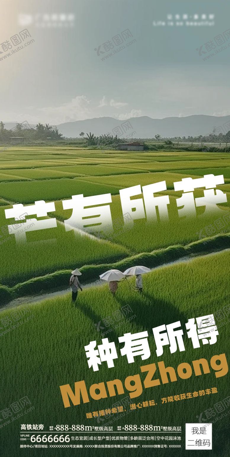 编号：14353902062000394632【酷图网】源文件下载-芒种海报