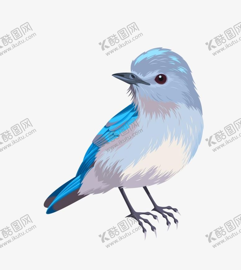 编号：03256109250623558970【酷图网】源文件下载-好看的蓝色小鸟