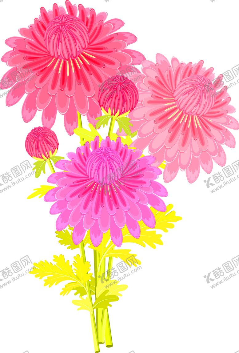 编号：10509910171617356872【酷图网】源文件下载-鲜花装饰