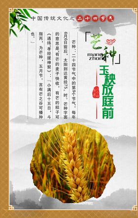 节气展板艺种