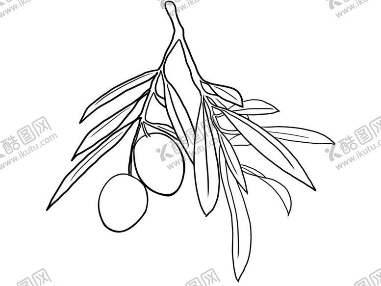 编号：94901209270122176850【酷图网】源文件下载-橄榄