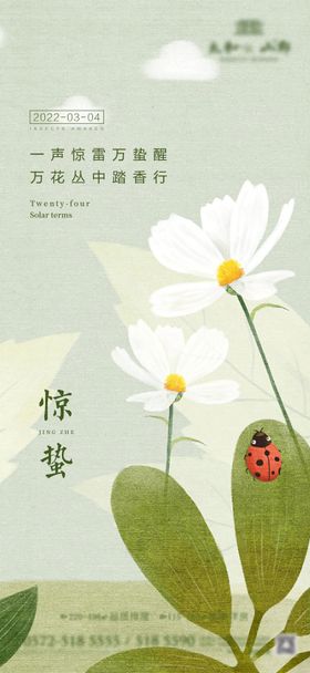 惊蛰节气海报国风二十四房地产