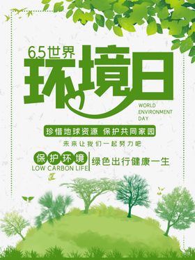环境日