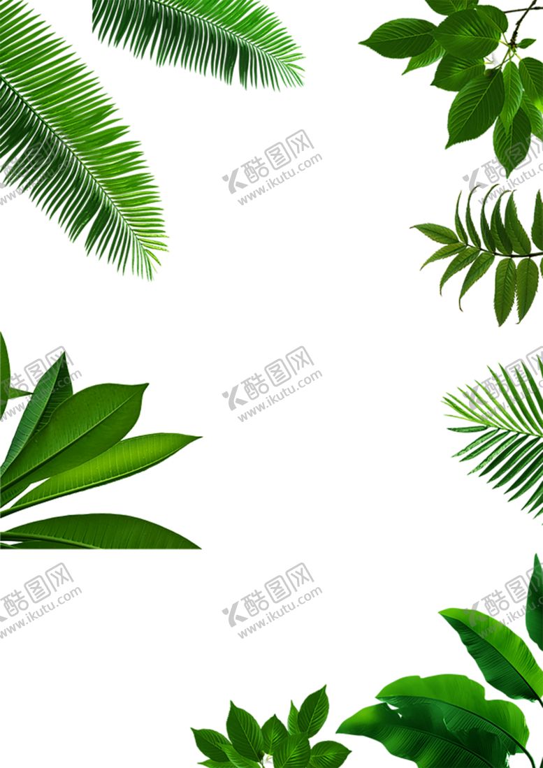 编号：37620510292330052330【酷图网】源文件下载-绿色植物