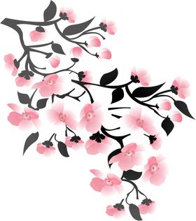 花卉瓣草春天