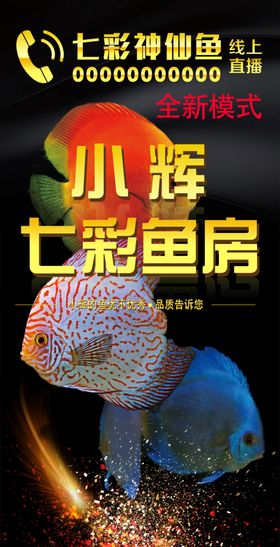 小辉七彩鱼房