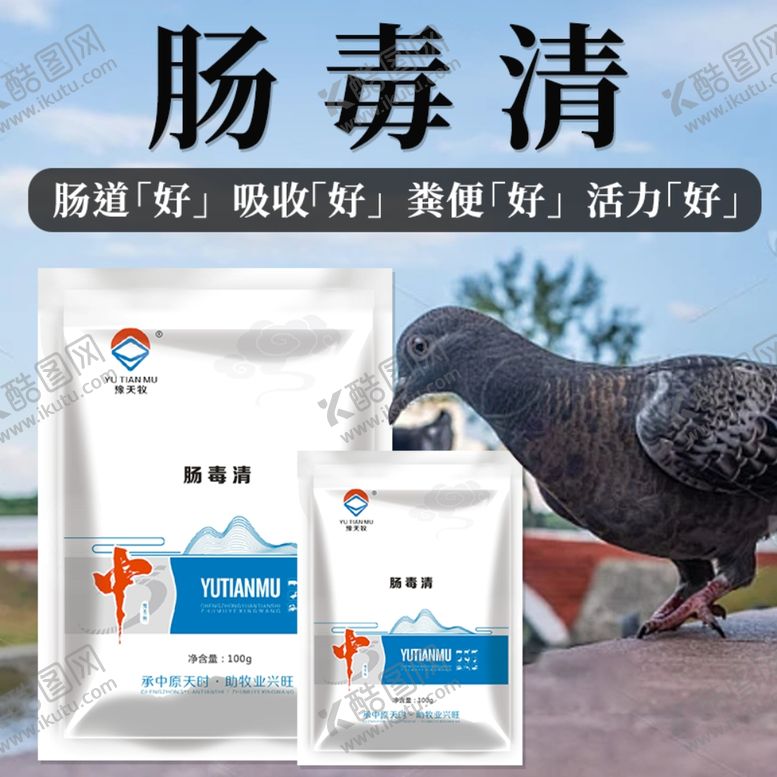 编号：31940602131806085652【酷图网】源文件下载-鸽子产品主图