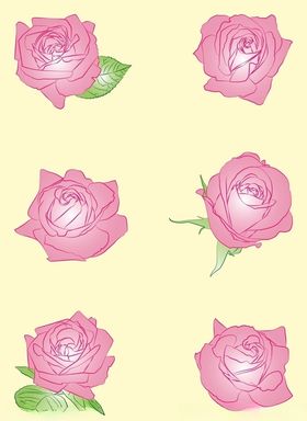 玫瑰花