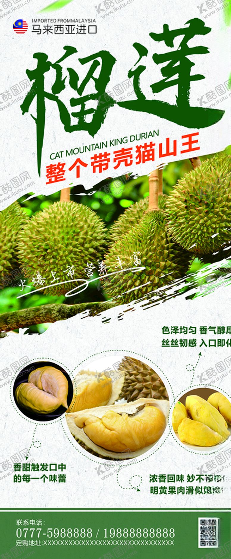 编号：27621307061834154867【酷图网】源文件下载-猫山王榴莲