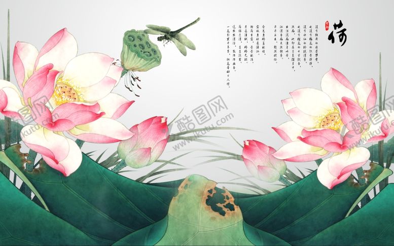 编号：41942907140100253811【酷图网】源文件下载-荷花