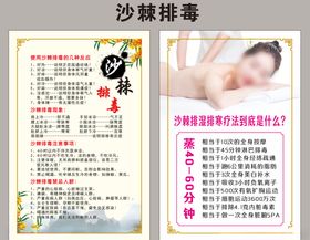 沙棘排毒展板海报