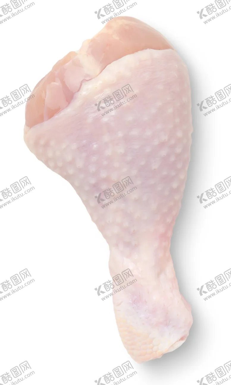 编号：34517104061543201172【酷图网】源文件下载-鸡腿
