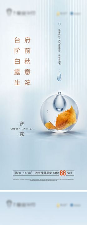 寒露节气移动端海报