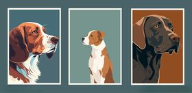 三只萌犬肖像画