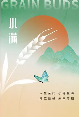 小满海报传统节气宣传节气