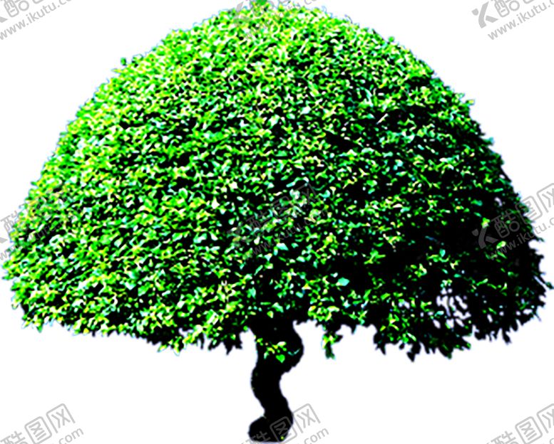 编号：15221211011909291743【酷图网】源文件下载-绿色相框