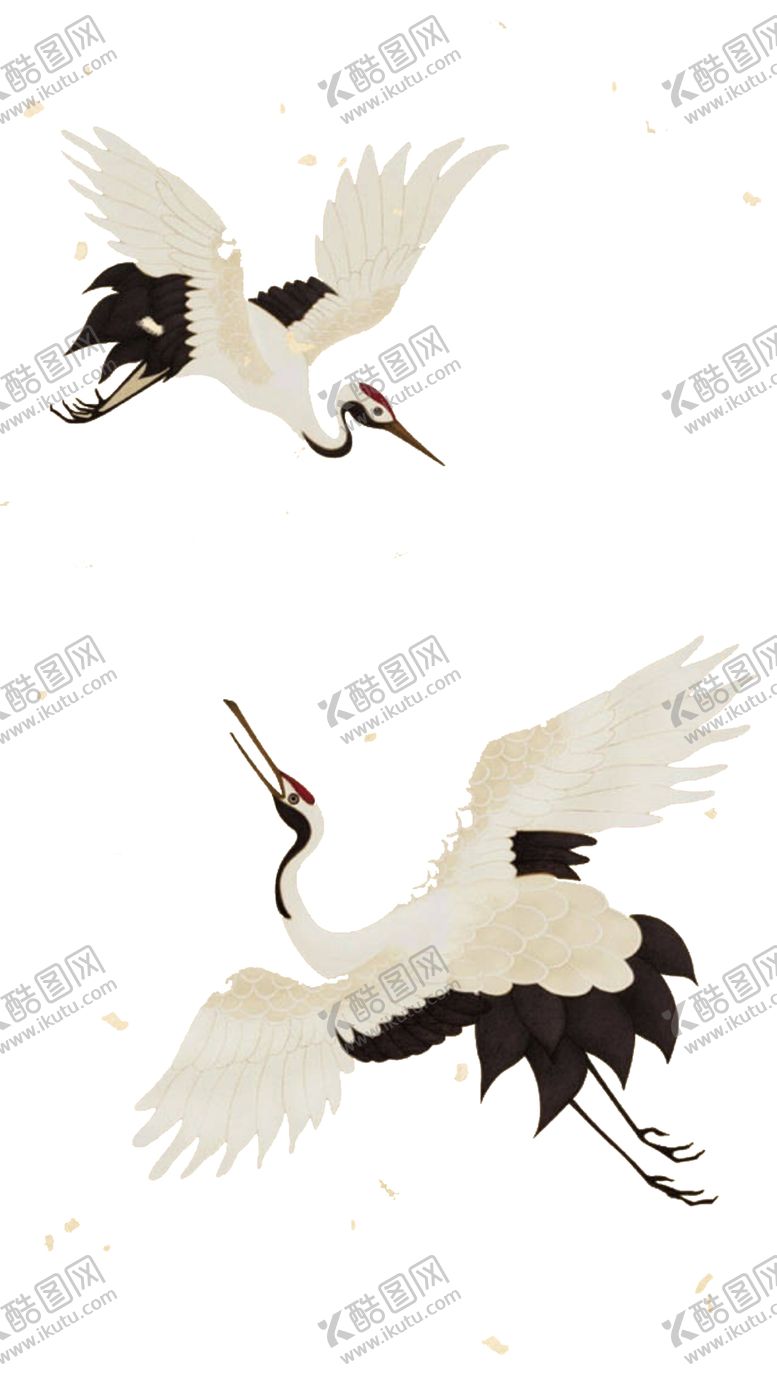 编号：14248709280042497884【酷图网】源文件下载-仙鹤图片