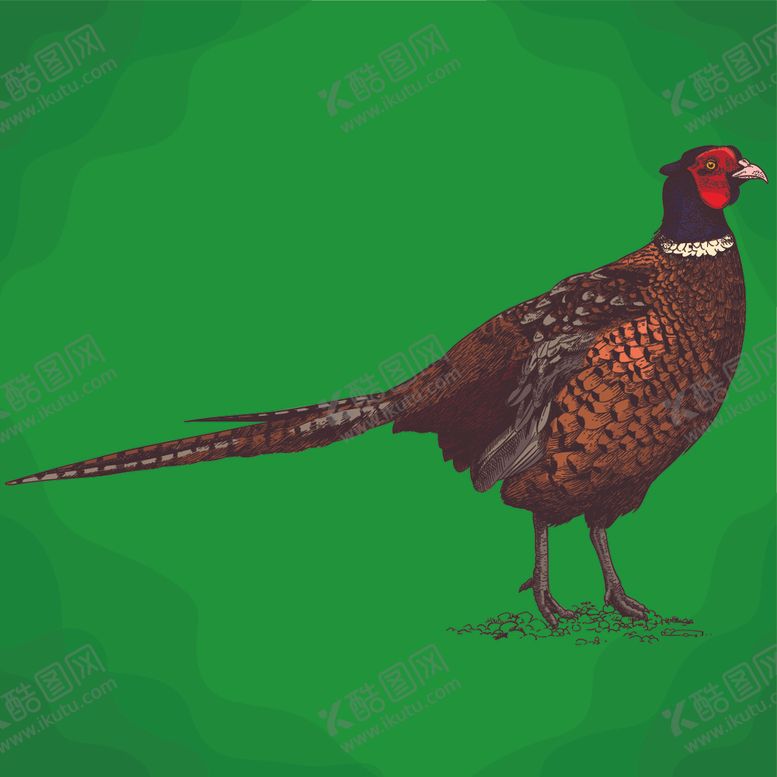 编号：12124310031616315668【酷图网】源文件下载-动物油画