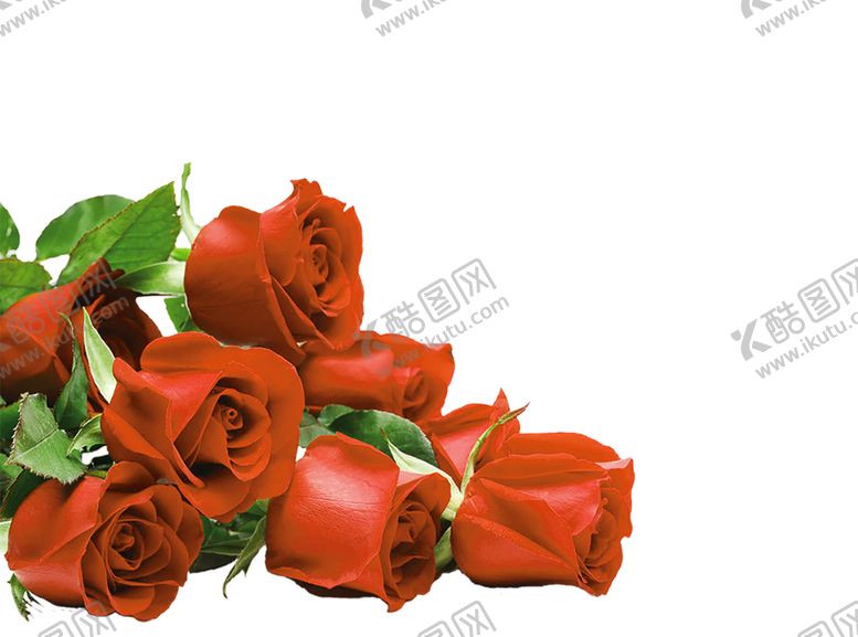 编号：78568609182249158317【酷图网】源文件下载-浪漫素材