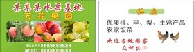 水果名片水果基地名片果园名片