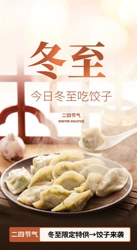 二十四节气冬至海报
