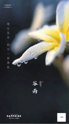 鲜花谷雨节气海报