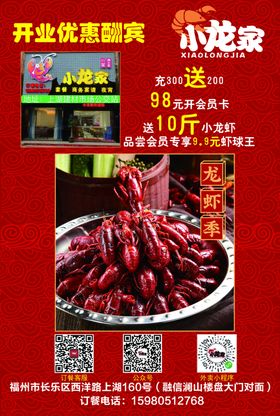 小龙家传单