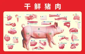 超市猪肉分割图