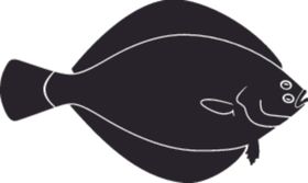手绘水彩海洋生物元素鱼海鱼
