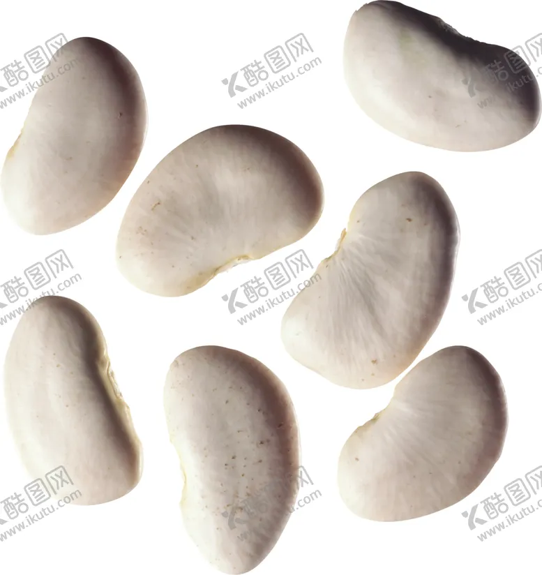 编号：45980206261859085764【酷图网】源文件下载-白芸豆