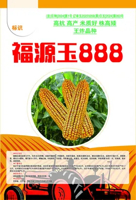 福源玉888玉米种子展示