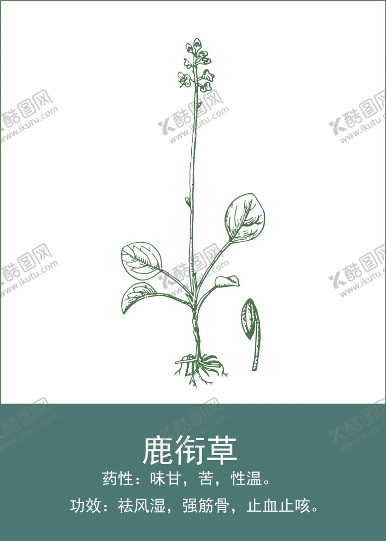 编号：45182101140919337040【酷图网】源文件下载-中药手绘插画