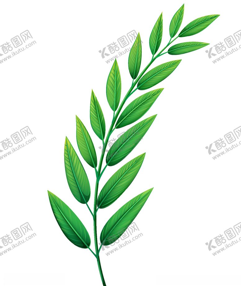 编号：56976610092257115270【酷图网】源文件下载-手绘叶子