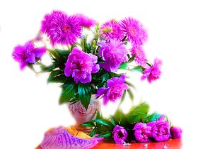鲜花装饰