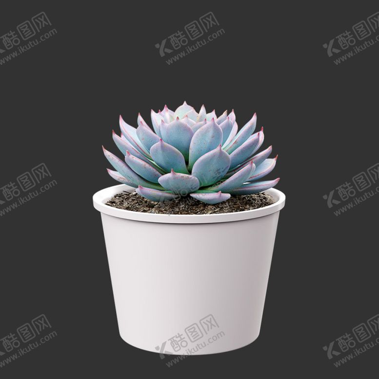 编号：30996401130426319722【酷图网】源文件下载-C4D模型多肉植物