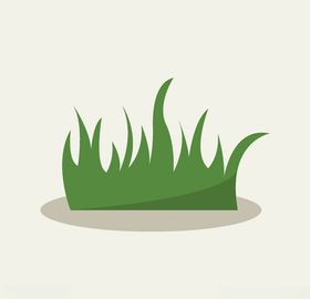 卡通小草