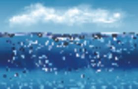 海水